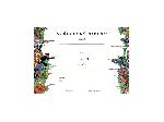 Diplom - st�eleck�, 4/0, A4 Diplom Ostrost�elec